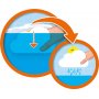Badespielzeug - Nach dem Regen kommt die Sonne