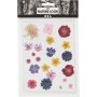 Getrocknete Blumen und Bltter - gemischte Farben
