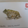 Kundenbild Aquarellpostkarte Raphael - 11 Blatt