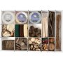 Kreativbox - Natur