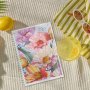 Kalender 26/27 Senator - A5 - 4in1