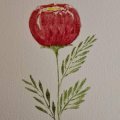 Kundenbild Aquarellblock, geklebte kaltgepresste Bögen, 300 g - A4