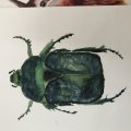 Kundenbild Messerset Art Creation #3