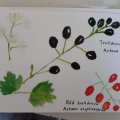 Kundenbild Aquarellpostkarte Raphael - 11 Blatt