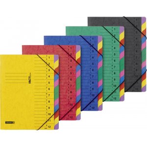 Ordner mit Aufzeichnungen - FAKT! - 12 Tabs Ordner mit Aufzeichnungen - FAKT! - 12 Tabs