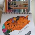 Kundenbild Fasermaler Triplus Color im Etui 1mm - 20 Stifte