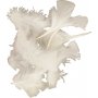 Daunen - wei - 50 g