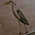 Kundenbild Aquarellstift Albrecht D�rer - 272 Warm Grey III