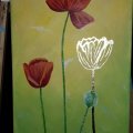 Kundenbild Design-Metall - Gold 5 Stk.