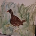 Kundenbild Aquarellstift Albrecht D�rer - 178 Nougat