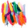 Federn - gemischte Farben - 350 Stk