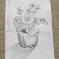 Kundenbild Toison D'or Bleistift - 5B