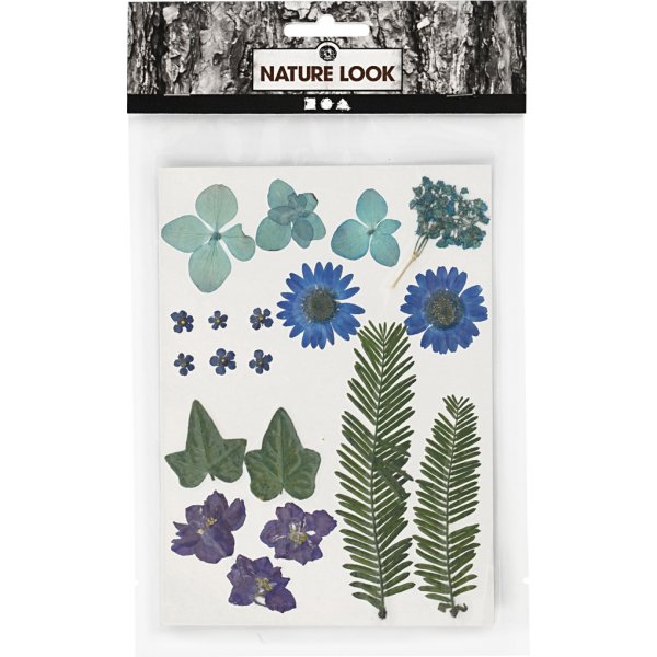 Getrocknete Blumen und Bltter - blau