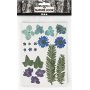 Getrocknete Blumen und Bltter - blau
