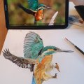 Kundenbild Synthetisches Pinselset W&N Foundation Aquarell - Nr. 14