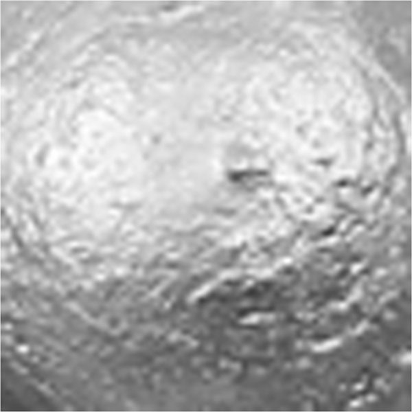 Schulfarbe Acryl - Metallic - Silber - Metallic - 500 ml