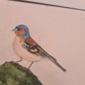 Kundenbild Aquarellstift Albrecht D�rer - 273 Warm Grey IV