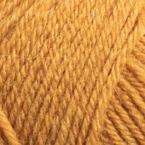 Junior Raggi 50g - Goldener Senf Junior Raggi 50g - Goldener Senf