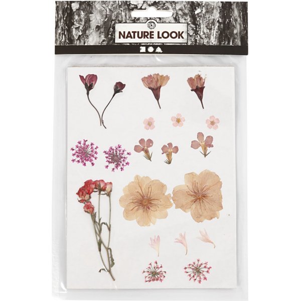 Getrocknete Blten und Bltter - hellrosa