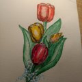 Kundenbild Noris Aquarellstifte - 24 Stifte