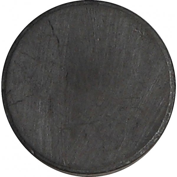 Magnet - 14,5 mm - 50 Stk