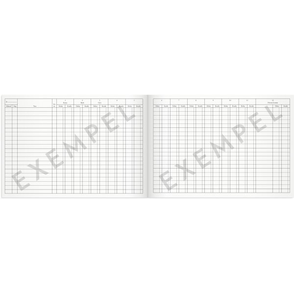 Das Kassenbuch des Vereins - A4L