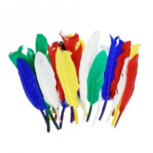 Indianerfedern 12 - 15 cm - mehrere Farben gemischt 20er-Pack Indianerfedern 12 - 15 cm - mehrere Farben gemischt 20er-Pack