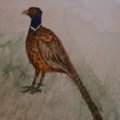 Kundenbild Aquarellstift Albrecht D�rer - 278 Chromoxidgr�n