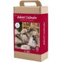 Adventskalender - Stickerei