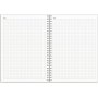 Kalender 24/25 Studie - A5 - Samt