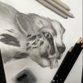 Kundenbild Kaugummi Faber kneten