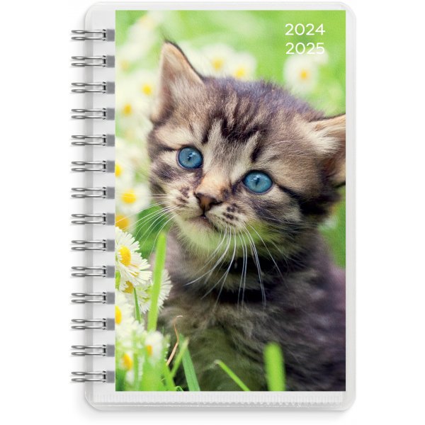 Kalender 24/25 Compact - Haustiere