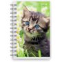 Kalender 24/25 Compact - Haustiere