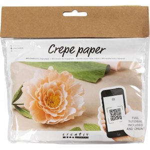 Mini-DIY-Kit Krepppapier - Pfingstrose Mini-DIY-Kit Krepppapier - Pfingstrose
