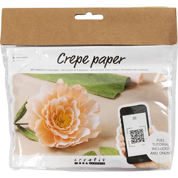 Mini-DIY-Kit Krepppapier - Pfingstrose
