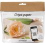 Mini-DIY-Kit Krepppapier - Pfingstrose