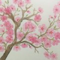 Kundenbild Aquarellblock Sense 200g - A5