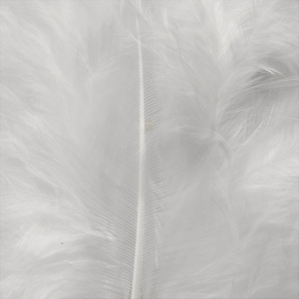Daunen - weiß - 15 Stk Daunen - weiß - 15 Stk