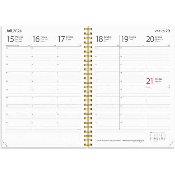Kalender 24/25 Studie - A5 - Stern