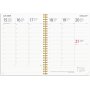 Kalender 24/25 Studie - A5 - Stern