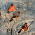 Kundenbild Aquarellfarbe W&N Cotman - Taschenset 16 Farben