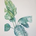 Kundenbild Aquarellblock Sense 200g - A4