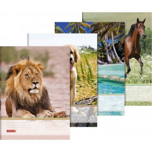 Ordner - A3 - Tiere Ordner - A3 - Tiere
