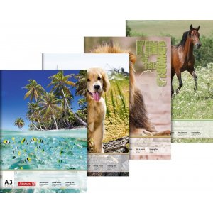 Zeichenblock - A3 (20 Seiten) - Tiere Zeichenblock - A3 (20 Seiten) - Tiere