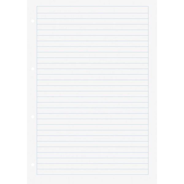 Nachfllung fr Ringbuch - A4