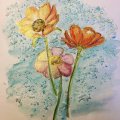 Kundenbild Aquarellblock Sense 160g - A4