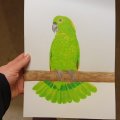 Kundenbild Aquarellblock, geklebte kaltgepresste Bögen, 300 g - A4