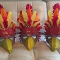 Kundenbild Indianerfedern 12 - 15 cm - mehrere Farben gemischt 20er-Pack