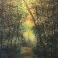 Kundenbild Aquarell Naturschwamm grobporig ca. 6 cm