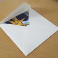 Kundenbild Pollenumschlag 140x140 - 20er-Pack - Creme